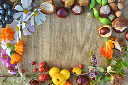 Autumn frame made of flowers, fruits and nuts on wooden textureの写真素材