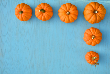 Border of little orange pumpkins on blue wooden backgroundの写真素材