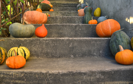 Pumpkins on the outdoor stairs. Autumn decorationの写真素材