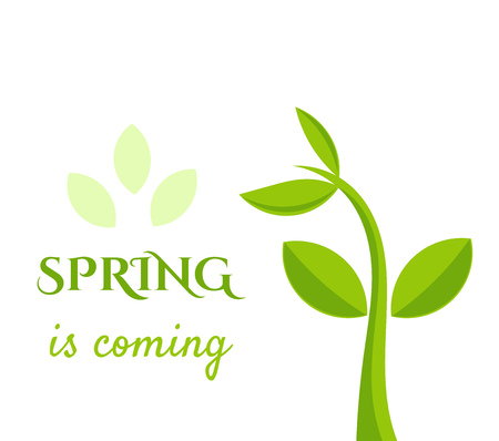 Spring is coming illustrationのイラスト素材