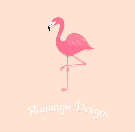 Flamingo bird on pink background. Vector illustrsation designのイラスト素材