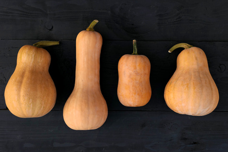 Butternut squashes varieties on black wooden boards backgroundの写真素材