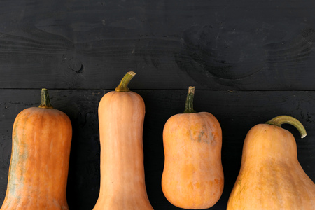 Butternut squashes varieties on black wooden boards backgroundの写真素材