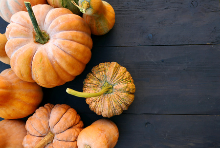 Cucurbita moschata winter squashes and pumpkins varieties on black wooden boards background