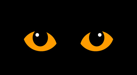 Orange cat eyes isolated on black background. Vector illustrationのイラスト素材