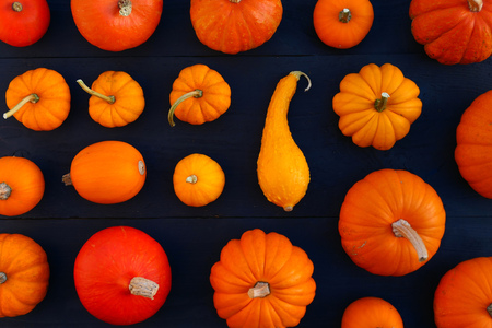 Orange pumpkins on black wooden background. Flat layの写真素材
