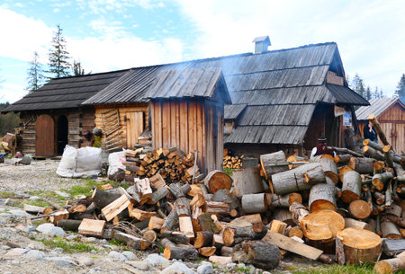 KOSCIELISKO, POLAND - NOVEMBER 12, 2018: Polish mountain hut called Bacowka, shepherd house where the traditional cheese "Oscypek" is produced.のeditorial素材