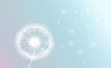 White dandelion blown by wind on pastel gradient background. Vector illustration.のイラスト素材