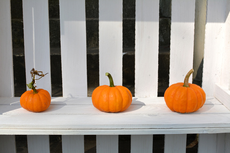 Autumn pumpkins decoration on white wooden shelfs boxesの写真素材