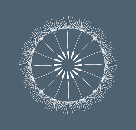 Symbolic white dandelion flower seeds on dark blue background. Vector illustration.のイラスト素材