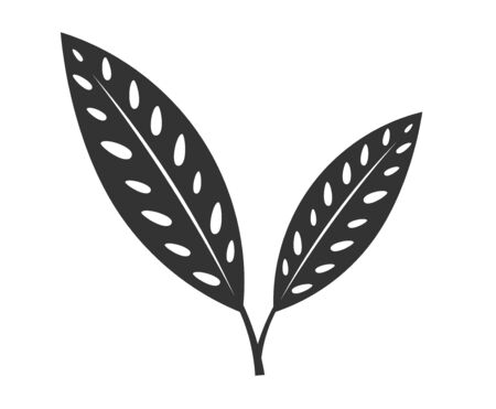 Tropical plant leaf icon. Vector illustration.のイラスト素材
