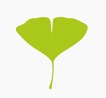 Ginkgo biloba green leaf icon. Vector illustration.のイラスト素材