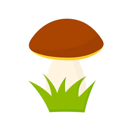 Cep boletus forest mushroom cartoon style illustration. Vector design element.のイラスト素材