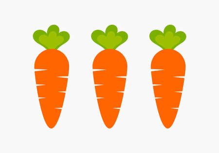 Three healthy carrots from vegetable garden. Raw food diet vector.のイラスト素材