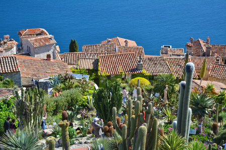 Eze, France - April 29, 2019: Exotic cactus garden in Eze village, Cote d'Azur, French Riviera in France. Rooftop and sea view.のeditorial素材