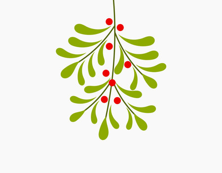 Mistletoe plant hanging. Christmas vector illustration.のイラスト素材