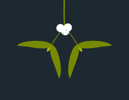 Mistletoe green branch hanging. Christmas symbol illustration.のイラスト素材