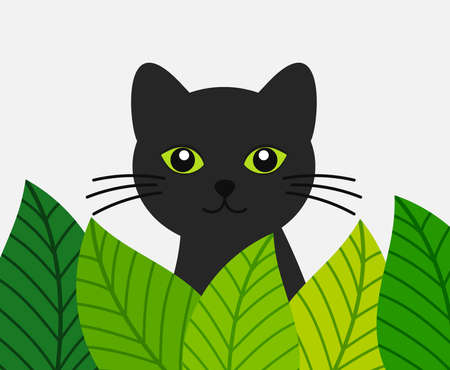 Cute cat hiding behind green leaves. Cat hunting and nature. Vector illustration.のイラスト素材