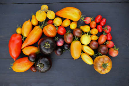 Heirloom tomatoes collection on black wooden background. Colorful tomatoes vatieties.の写真素材