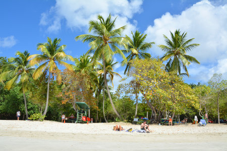 Saint Thomas, US Virgin Islands - March 23, 2017: Tourists at Magens Bay beach located in the northern part of the Saint Thomas island in the Caribbean.のeditorial素材