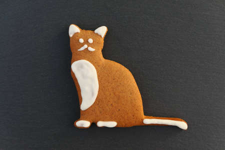 Cat gingerbread cookie on black background.の写真素材