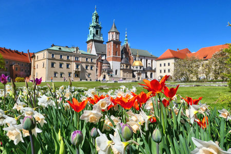 Wawel castle and tulip flowers in Krakow, Poland during spring. Selective focus on flowers.のeditorial素材