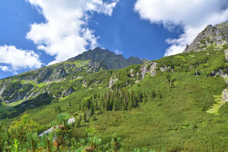 Tatra Mountains trail through Dolina Roztoki. Tatra National Park mountains panorama in Polandの写真素材