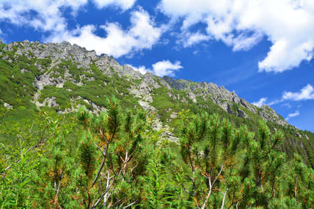Mountains in Tatra National Park, Roztoki Valley valley landscape.の写真素材