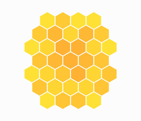Honeycomb isolated on white background. Vector illustration.のイラスト素材