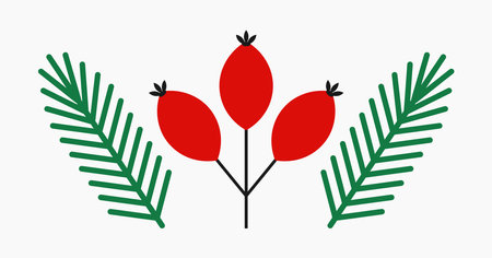 Rose hip fruits and fir branches Christmas symbols isolated on white. Vector illustration.のイラスト素材