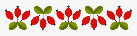 Rose hip red berry fruits on branches, autumn border. Vector illustrationのイラスト素材