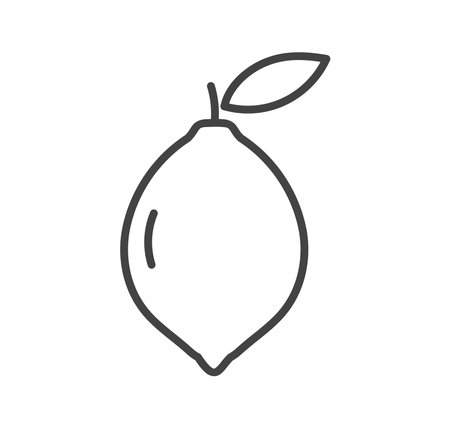 Lemon fruit line icon symbol. Vector illustration.のイラスト素材