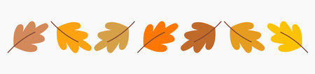 Oak leaves colorful simple autumn border. Vector illustration design element.のイラスト素材