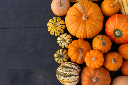 Pumpkins varieties background. Autumn orange pumpkins and squashes.の写真素材