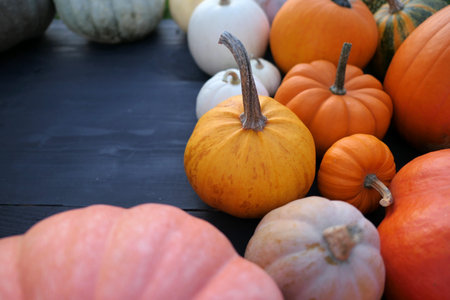 Autumn pumpkins, squashes on black wooden background. Colorful gourds food background. pumpkin border.の写真素材