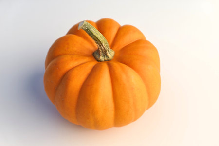 Pumpkins on a white background. Orangita variety, Cucurbita pepo.の写真素材