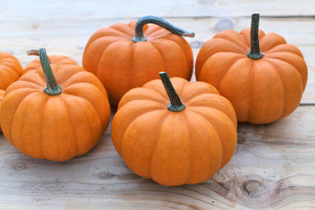 Orange pumpkins on wooden background.の写真素材