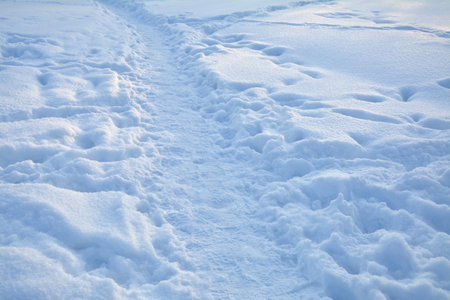 Path in deep white snow, winter season in Poland.の写真素材