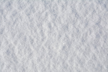 Fresh snow texture winter background.の写真素材