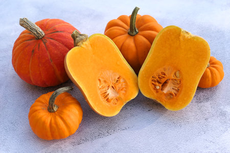 Butternut squash and orange pumpkins collection. autumn food .の写真素材