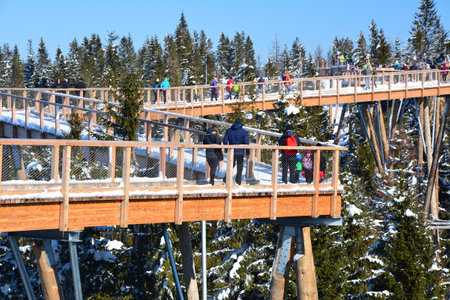 The treetop walk Bachledka in Bachledova valley in Slovakia. Scenic wooden bridge over trees.の写真素材