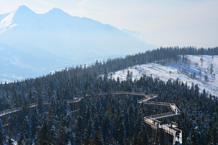 The treetop walk Bachledka in Bachledova valley in Slovakia. Scenic wooden bridge over trees. Tatra mountains in winter.の写真素材