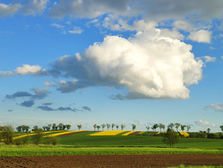Big cloud over spring rural landscape of rapeseed fields in Poland.の写真素材