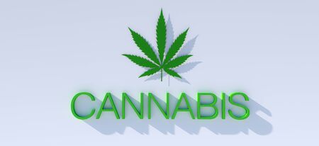 Green Cannabis marijuana leaf and type on bright background.の写真素材