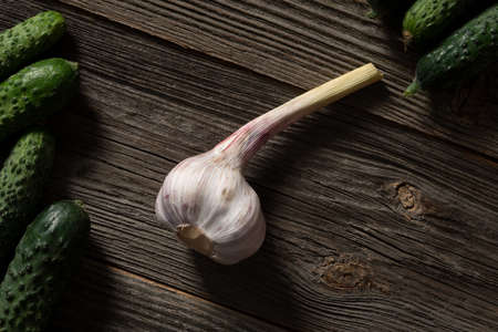 A heap of cucumbers and fresh garlic, exposed on the wooden vintage table.の写真素材