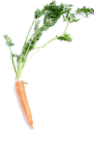 Fresh carrot on an isolated backgroundの写真素材