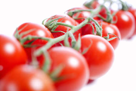 Fresh ripe tomatoes on the vine isolated on white backgroundの写真素材