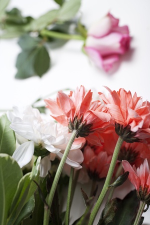 Flower cuttings being prepared to be arranged to make a bouquet.の写真素材