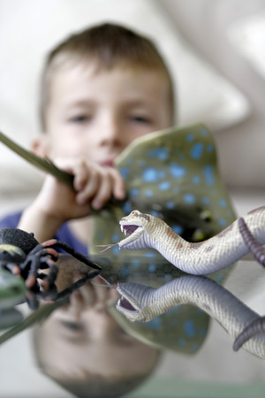 Young boy playing with his plastic animals at homeの写真素材