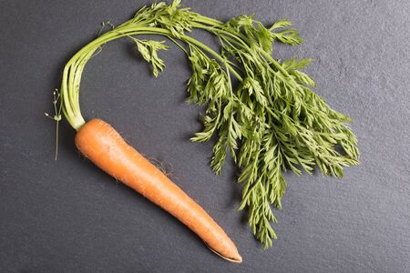 Fresh raw carrots on black slate with complete stemsの写真素材